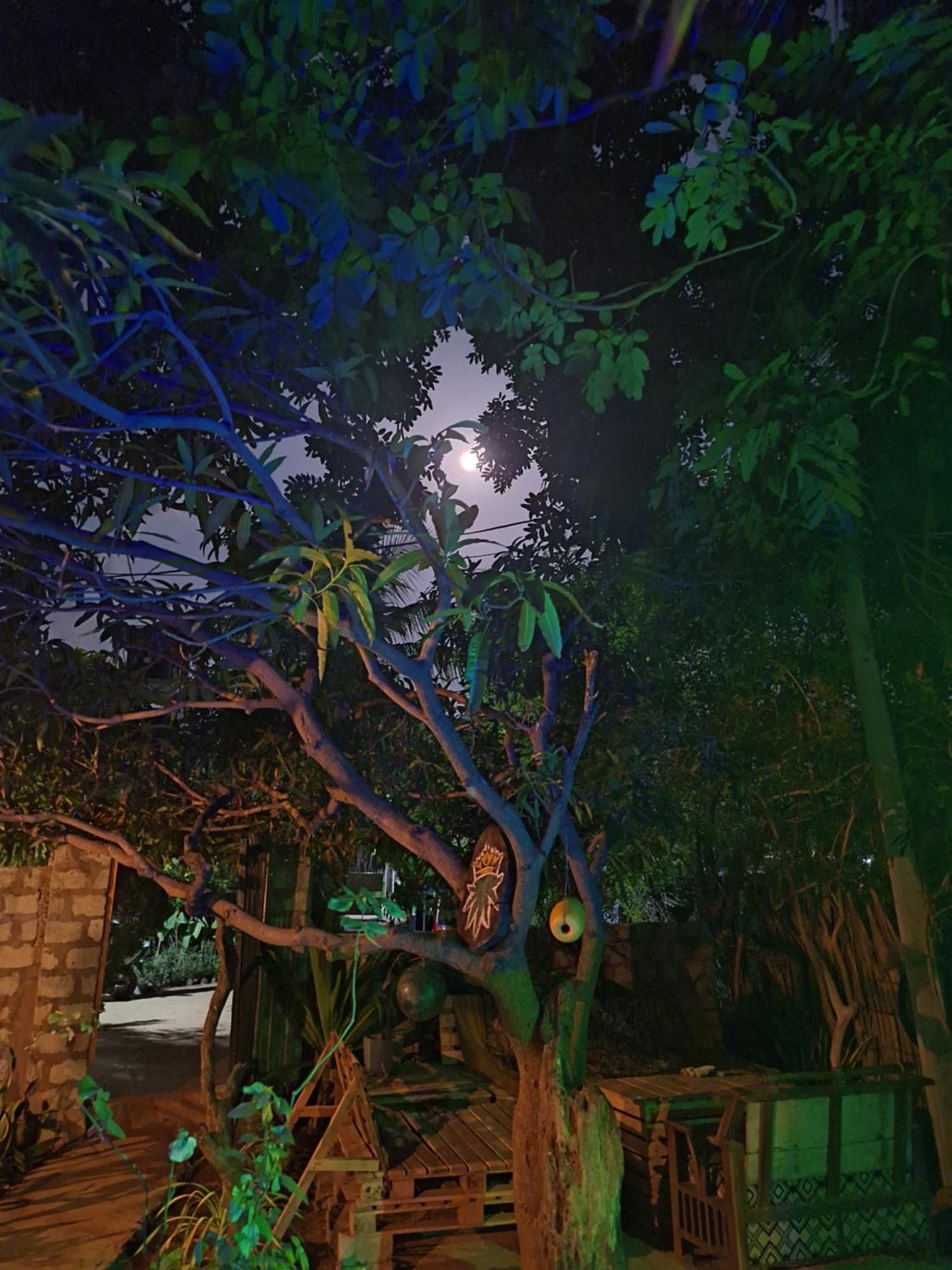 טרינקומאלה Akki'S Hostel מראה חיצוני תמונה