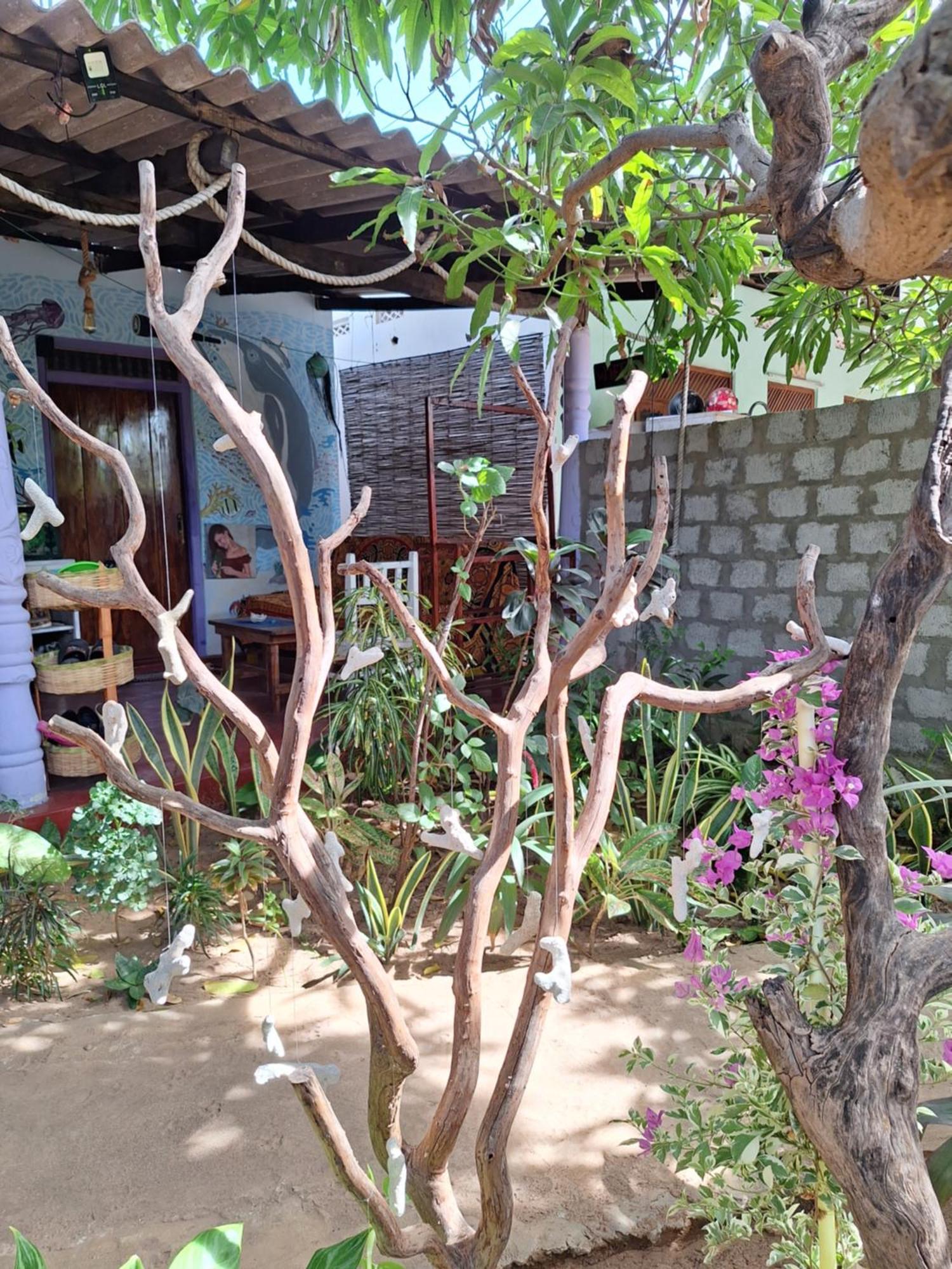 טרינקומאלה Akki'S Hostel מראה חיצוני תמונה